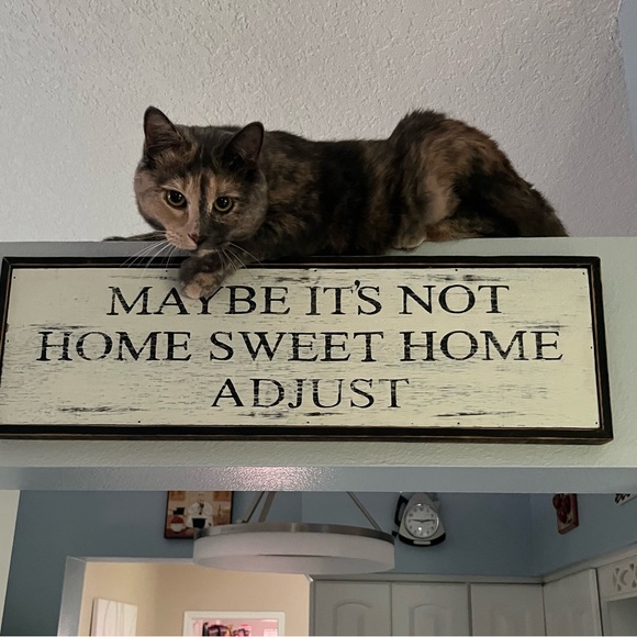 Meet your Posher, Maureen - Picture 6 of 6